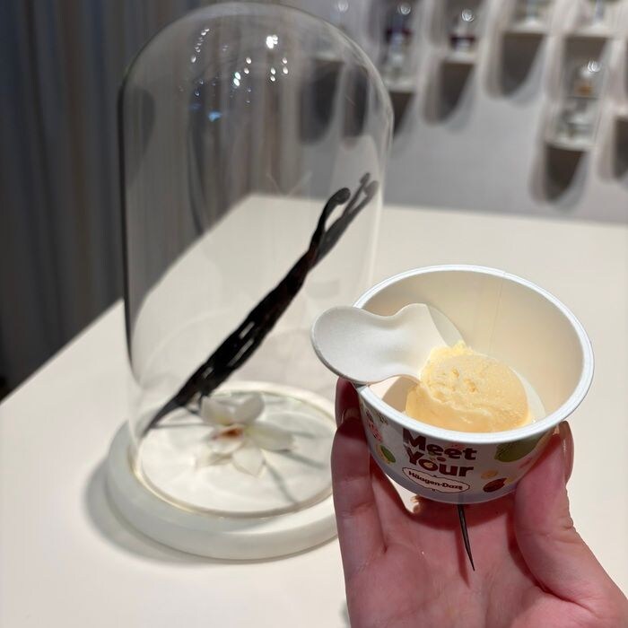 ハーゲンダッツのMeet Your Häagen-Dazs⑯
