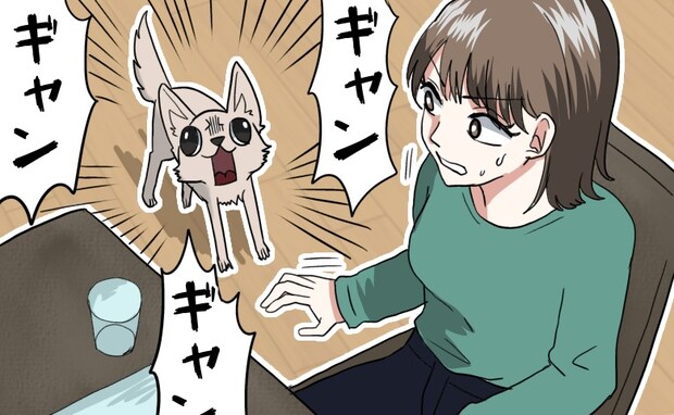 「ギャン!ギャン!」義実家の犬から歓迎されない結婚あいさつ!?→犬が吠えていた本当の理由は