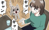 「ギャン！ギャン！」義実家の犬から歓迎されない結婚あいさつ！？→犬が吠えていた本当の理由は