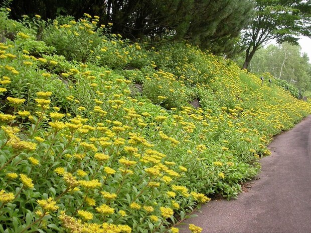 岩手県立博物館