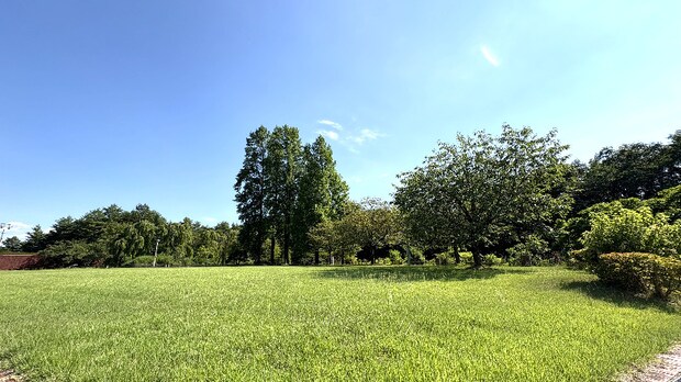 岩手県立博物館
