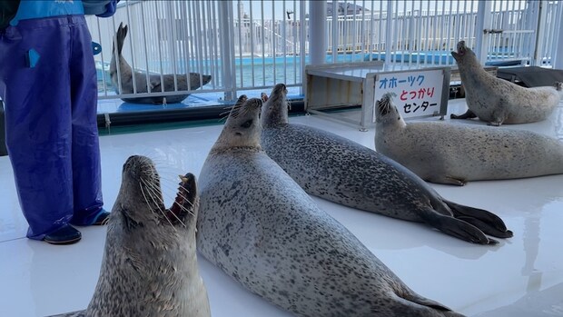 オホーツクとっかりセンター