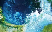 「水ってこんなにキレイなの！？」清らかな湧水と自然に癒やされる清水町の子連れスポット！【静岡県】