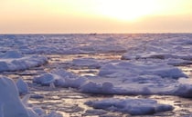 流氷と海鮮のまち・北海道枝幸町！子どもと楽しむポイントを観光協会にインタビュー！