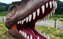 恐竜好きキッズ必見！楽しさ爆盛り★子どもも大はしゃぎの道の駅「恐竜渓谷かつやま」【福井県】