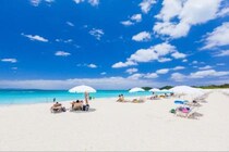 沖縄本島の最北端に行ったことある？ 国頭村観光協会に聞いた、小さな子どもと楽しむやんばるの自然旅