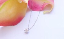 「俺を好きになってほしい」15歳年上の上司からの告白と…突然、渡された「幸せになれるネックレス」