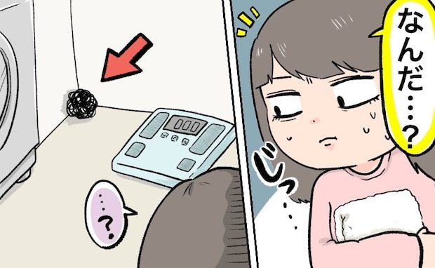 「…なんだ？」彼の部屋の隅にあった「謎の黒い塊」。近づいて見てみると…正体は