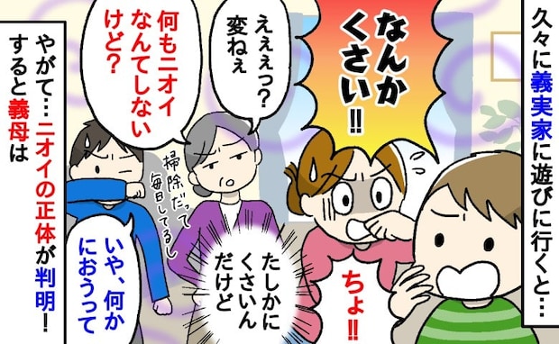 「なんかくさい！」義実家のリビングで娘が突然の一言！焦る私たちが突き止めた衝撃のニオイの正体とは