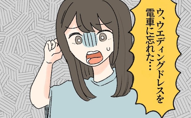 「うそっ…ない！」スイスでの新婚旅行中、電車にウエディングドレスを置き忘れて大パニック！？