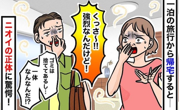 「クッサー！なんのニオイ？」1日家を空けただけなのに、部屋に異臭が！強烈な臭いの正体は！？