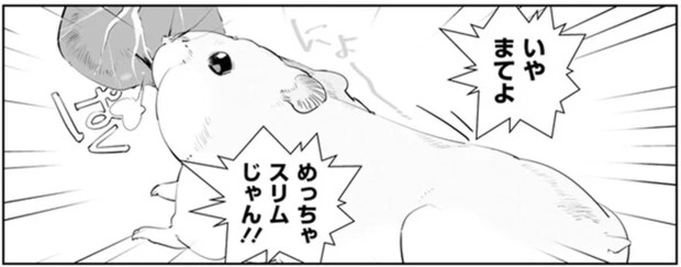 太った？痩せた？飼い主を惑わせる「魅惑のハムスターボディ」／はむはむづくし1