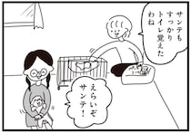 「違う違う！」子犬にトイレを覚えさせることに成功！と思ったら...／おはよう、サンテ