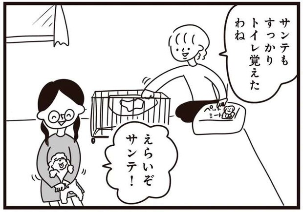「違う違う！」子犬にトイレを覚えさせることに成功！と思ったら...／おはよう、サンテ