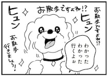 「お散歩ですよね!?」ウキウキの愛犬。でもドアを開けたら雨で...おい！／おはよう、サンテ