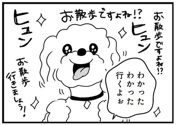 「お散歩ですよね!?」ウキウキの愛犬。でもドアを開けたら雨で...おい！／おはよう、サンテ