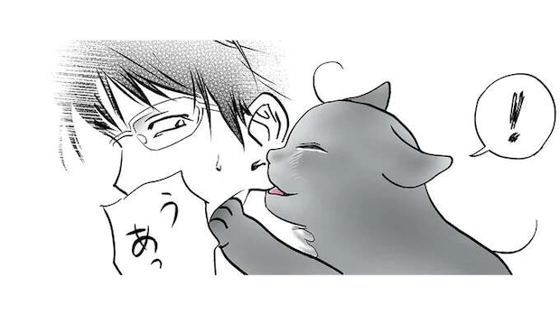 「2時間吸われている...」飼い主の首を吸い続ける猫。突然動きが止まった理由は...ジーン／筆坊日記