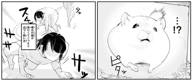 「見たい飼い主」と「見られたくないハムスター」。無言の駆け引きの結末は...？／はむはむづくし2