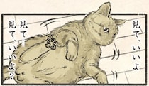 「ネコのおなか...見る？」ヘソ天する猫。飼い主は「誘われてる」と触ったら...／今日もネコ様の圧が強い