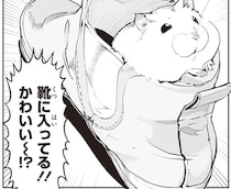 想定外の破壊力。靴にすっぽり入ったハムスターに飼い主悶絶！／はむはむづくし2