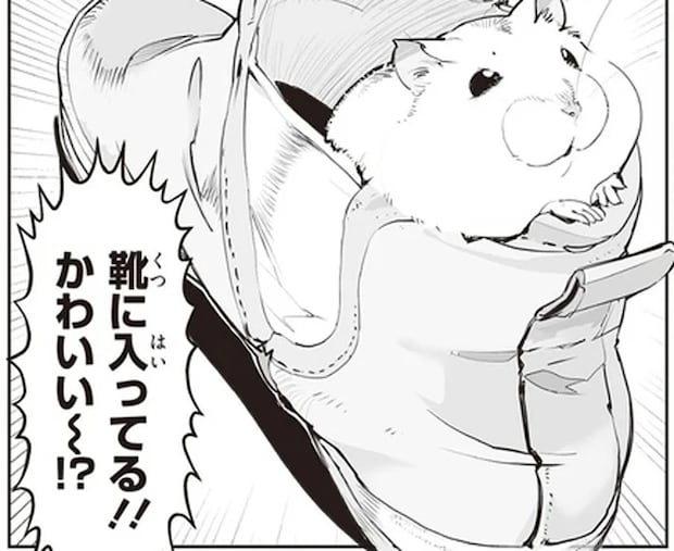 想定外の破壊力。靴にすっぽり入ったハムスターに飼い主悶絶!/はむはむづくし2