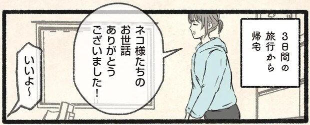 飼い主が3日間の旅行から帰宅。「人間の期待」と「猫の反応」／今日もネコ様の圧が強い