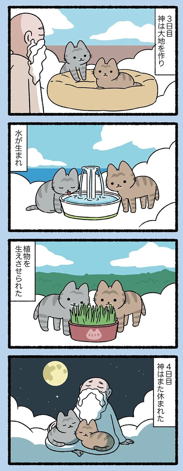 cattales36_2.webp