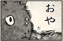 「あの音だ」飼い主に詰め寄る猫。その圧が...／今日もネコ様の圧が強い