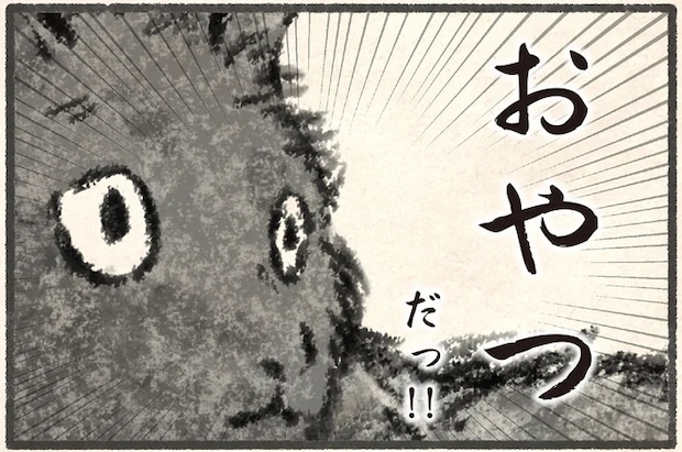 「あの音だ」飼い主に詰め寄る猫。その圧が...／今日もネコ様の圧が強い