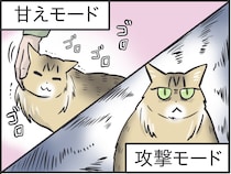 甘えモードと攻撃モードの落差よ...！いじらしくもツンデレな実家の猫のこと／フニャコ