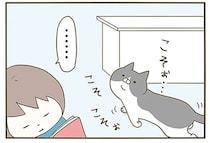 猫が飼い主の目を逃れコソコソ。果たしたかった重要ミッションは...それ？／うちの猫がまた変なことしてる。