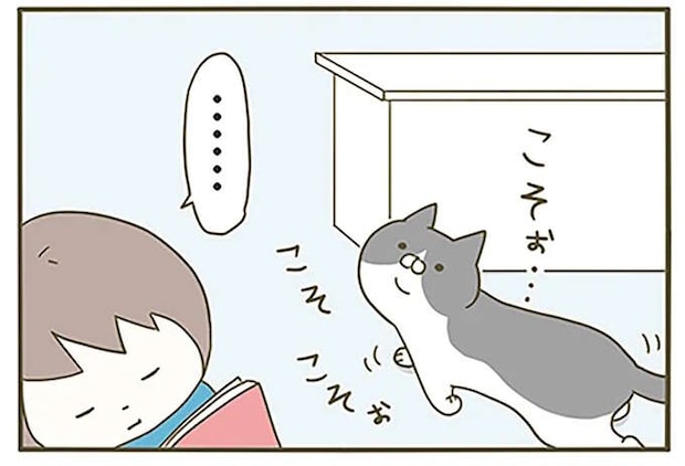 猫が飼い主の目を逃れコソコソ。果たしたかった重要ミッションは...それ?/うちの猫がまた変なことしてる。