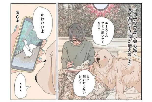 焼きもちやきの愛犬。アヒルをお迎えを「納得させた一言」は/エースくんとヨバンさん