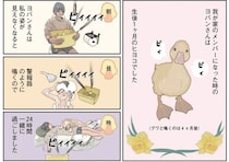 一瞬でも見えないと大騒ぎ...ヒヨコとの暮らしで心が折れなかった理由／エースくんとヨバンさん