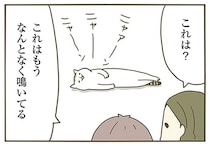 「うるさいよ」怒られた猫。猫なりの善処が...かわいい！／うちの猫がまた変なことしてる。