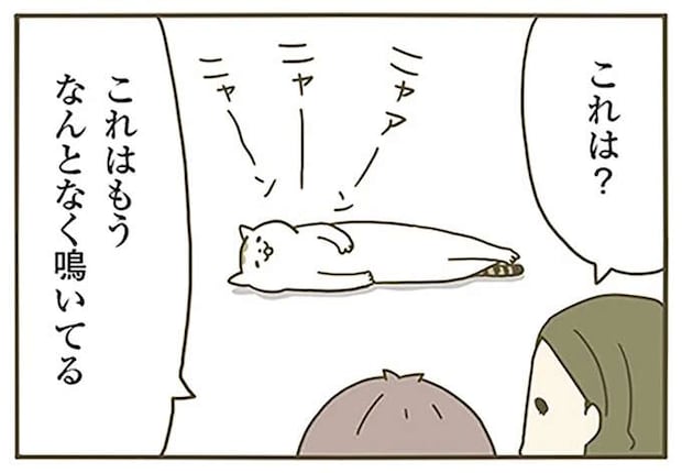 「うるさいよ」怒られた猫。猫なりの善処が...かわいい！／うちの猫がまた変なことしてる。