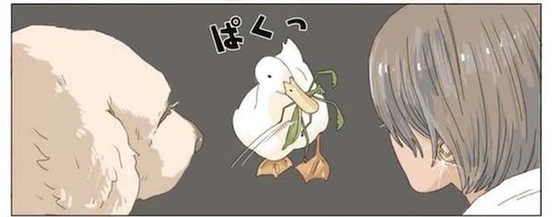 それを⁉ 穏やかな散歩中に飼い主と愛犬を絶句させたアヒルの行動／エースくんとヨバンさん