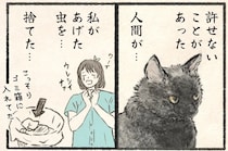 なぜ食べないッ!? 栄養がッ! あるのにッ!! ネコが許せない飼い主の行為／今日もネコ様の圧が強い