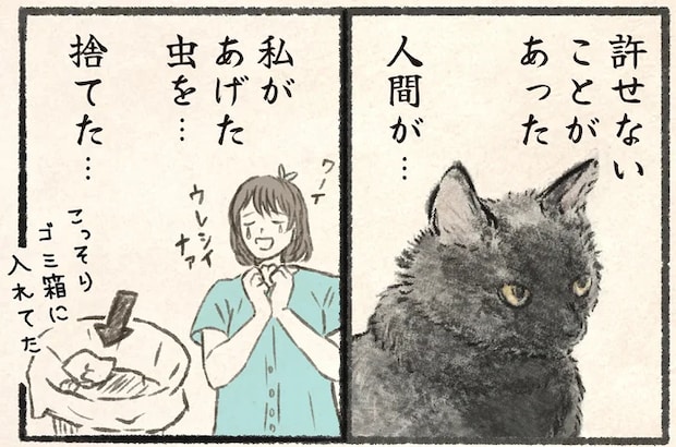 なぜ食べないッ!? 栄養がッ! あるのにッ!! ネコが許せない飼い主の行為/今日もネコ様の圧が強い