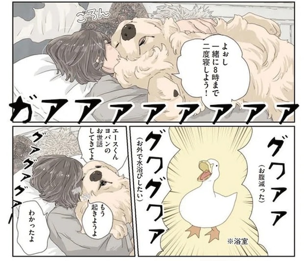 犬は添い寝するが、アヒルは？ 1人と2匹のモーニングルーティン／エースくんとヨバンさん