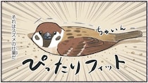 スズメが人間と「微妙な距離」をとる理由。どれだけ...／意外と知らない鳥の生活