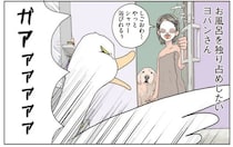アヒルに占拠された我が家のお風呂。でも無理やり入ってみると？／エースくんとヨバンさん