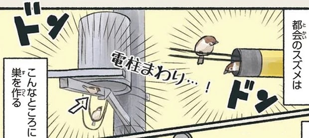 え! そんなところに⁉ ちゃっかりたくましく生きる都会のスズメ/意外と知らない鳥の生活