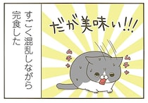 新食感!? カリカリしか食べさせていない愛猫にマグロの刺身をあげたら...／うちの猫がまた変なことしてる。