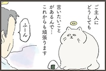 飼い主の夢枕に立ちたい！ 天国から何度も挑戦するネコと応援する人間／天国での暮らしはどうですか