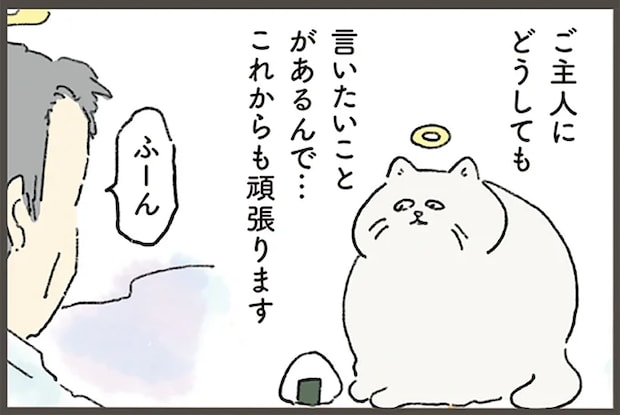 飼い主の夢枕に立ちたい! 天国から何度も挑戦するネコと応援する人間/天国での暮らしはどうですか