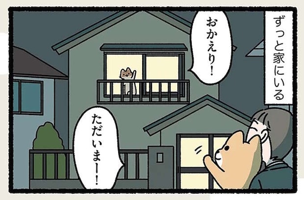 「犬は人につき、ねこは家につく」いつも一緒の犬も、家で待っていてくれる猫も/ねことわざ