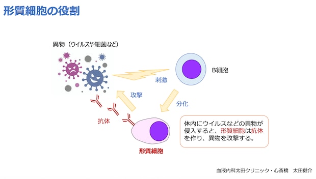 スクリーンショット 2025-11-13 20.42.39.png