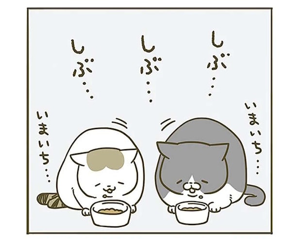 猫が「好きじゃないエサ」を出された場合。少しだけ食べて撤退するけれど...／うちの猫がまた変なことしてる。