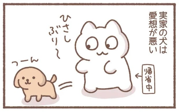 「愛想が悪い」実家の犬。でも夜になると...不思議な距離感/毎日がんばっていきる、えらい